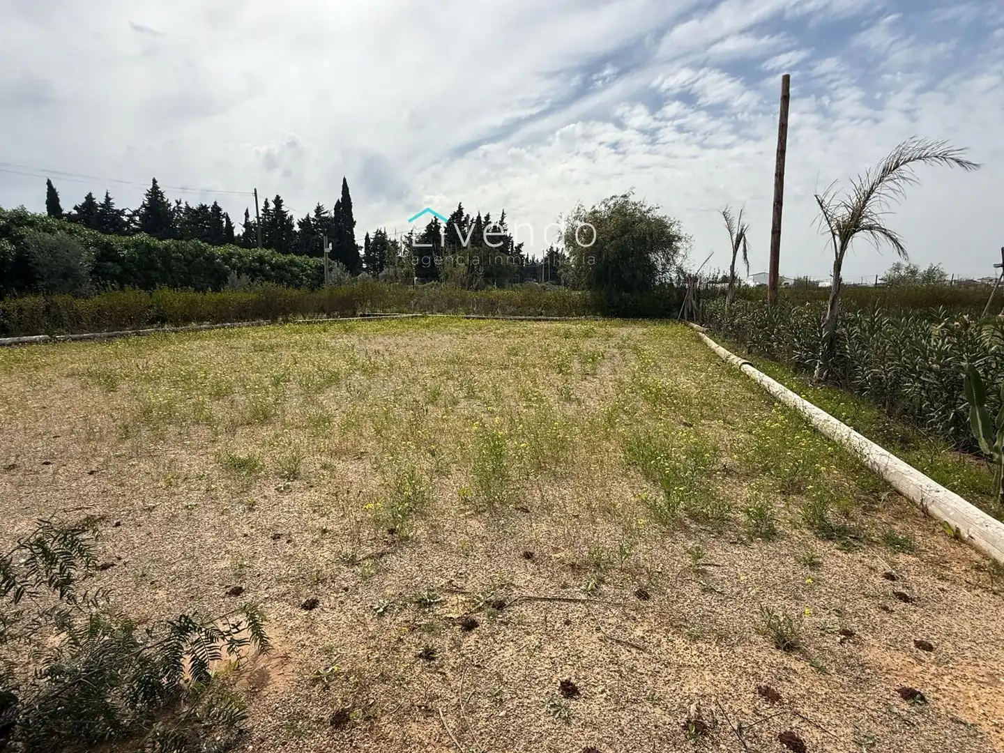 Terreny en venda en Conil de la Frontera