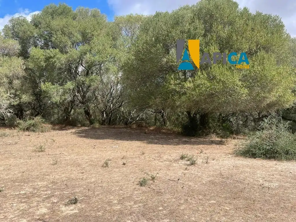 Terreni e lotti in vendita a Vejer, imagen 11