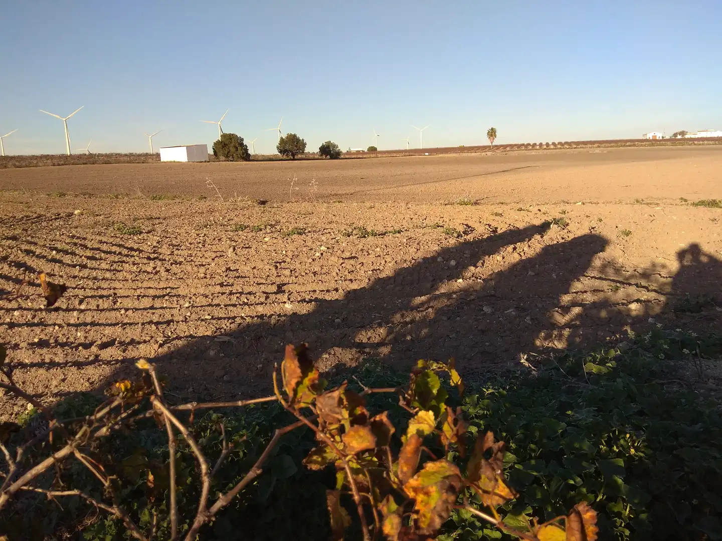 Rural land for sale in Ctra Sanlúcar - Cuatro Pinos, imagen 8