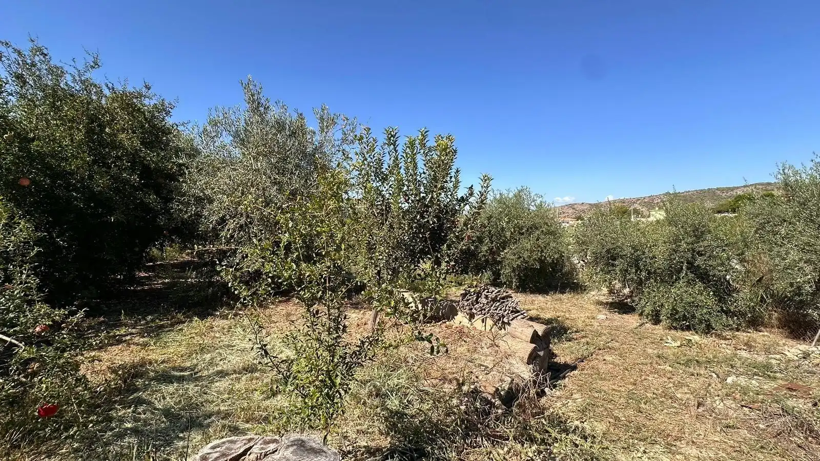 Chalet con piscina en venta en Alfarb, imagen 61