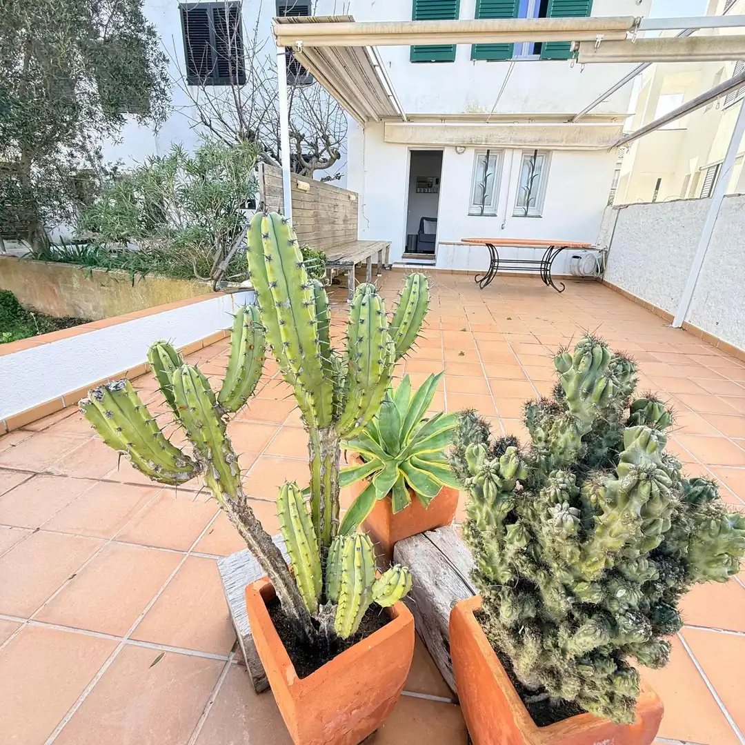 Terrassa de Casa o xalet en venda en Cadaqués amb Terrassa