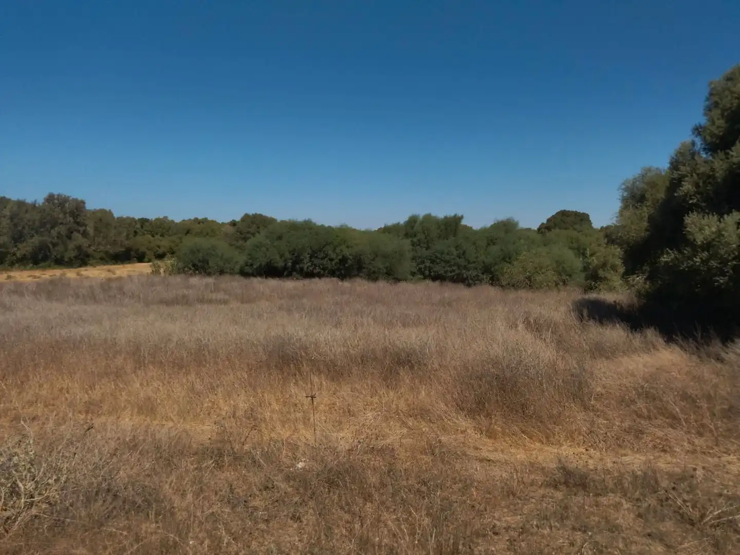 Terreno en venta en Vejer de la Frontera