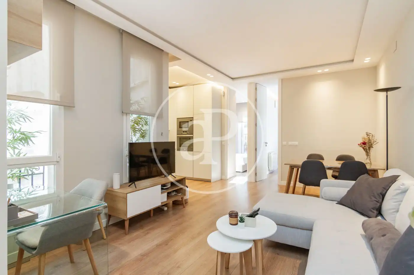 Living room of Flat for sale in Barrio de Salamanca