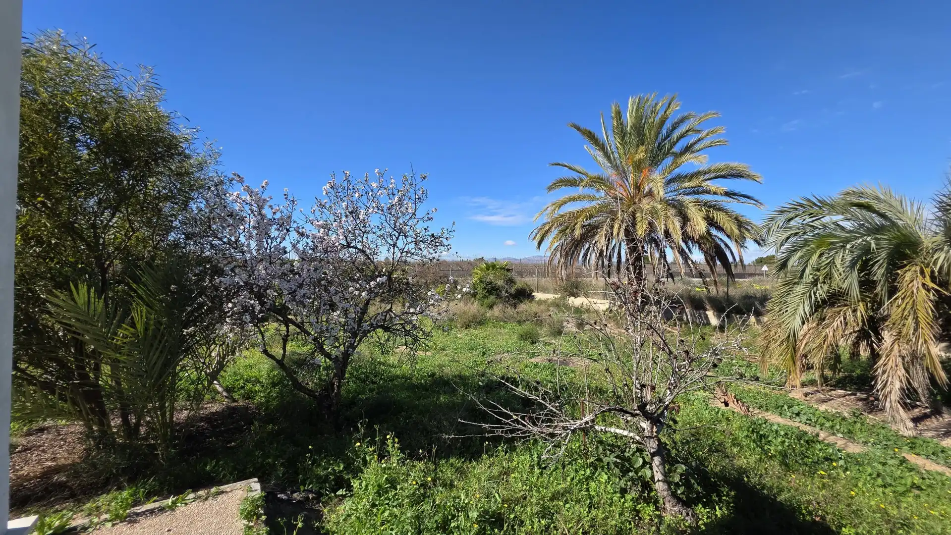 Finca rústica en venda a Las Bayas