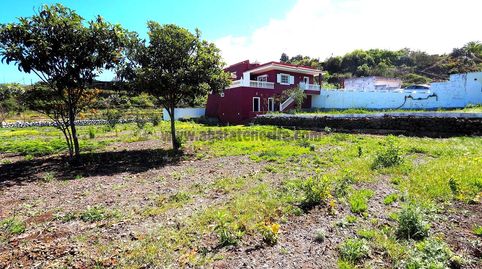 Foto 3 de Finca rústica en venta en Cl Penichet, La Vega - El Amparo - Cueva del Viento, Icod de los Vinos