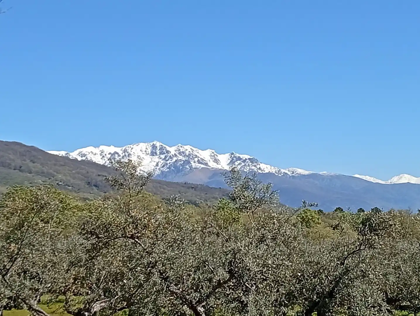 Terreni e lotti in vendita a Valverde de la Vera, imagen 4