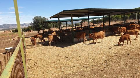 Photo 5 of Country house for sale in Área Rural-Valverde-Las Casas, Ciudad Real