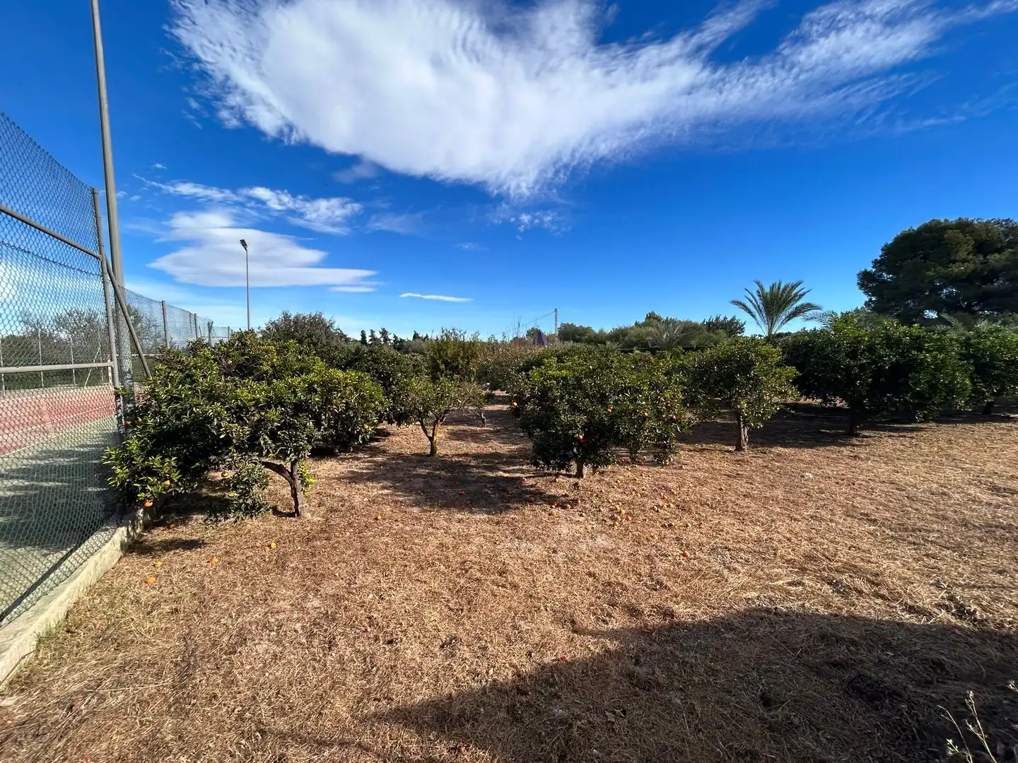Villa avec terrasse à vendre à Los Balcones - Los Altos, imagen 13