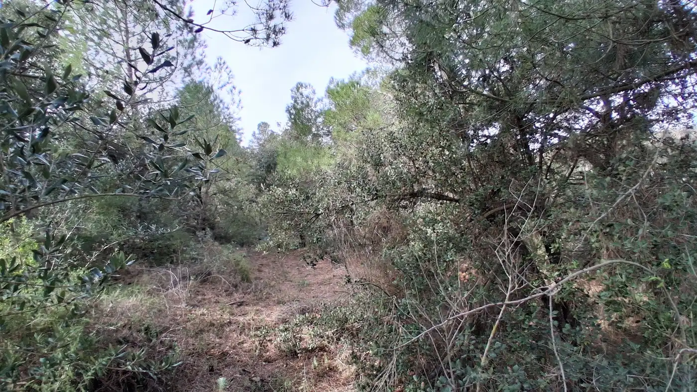 Terreno en venta en Falset