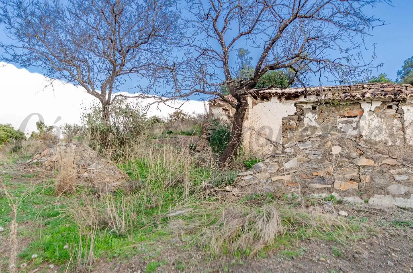 Terreno rustico in vendita a Salares, imagen 2