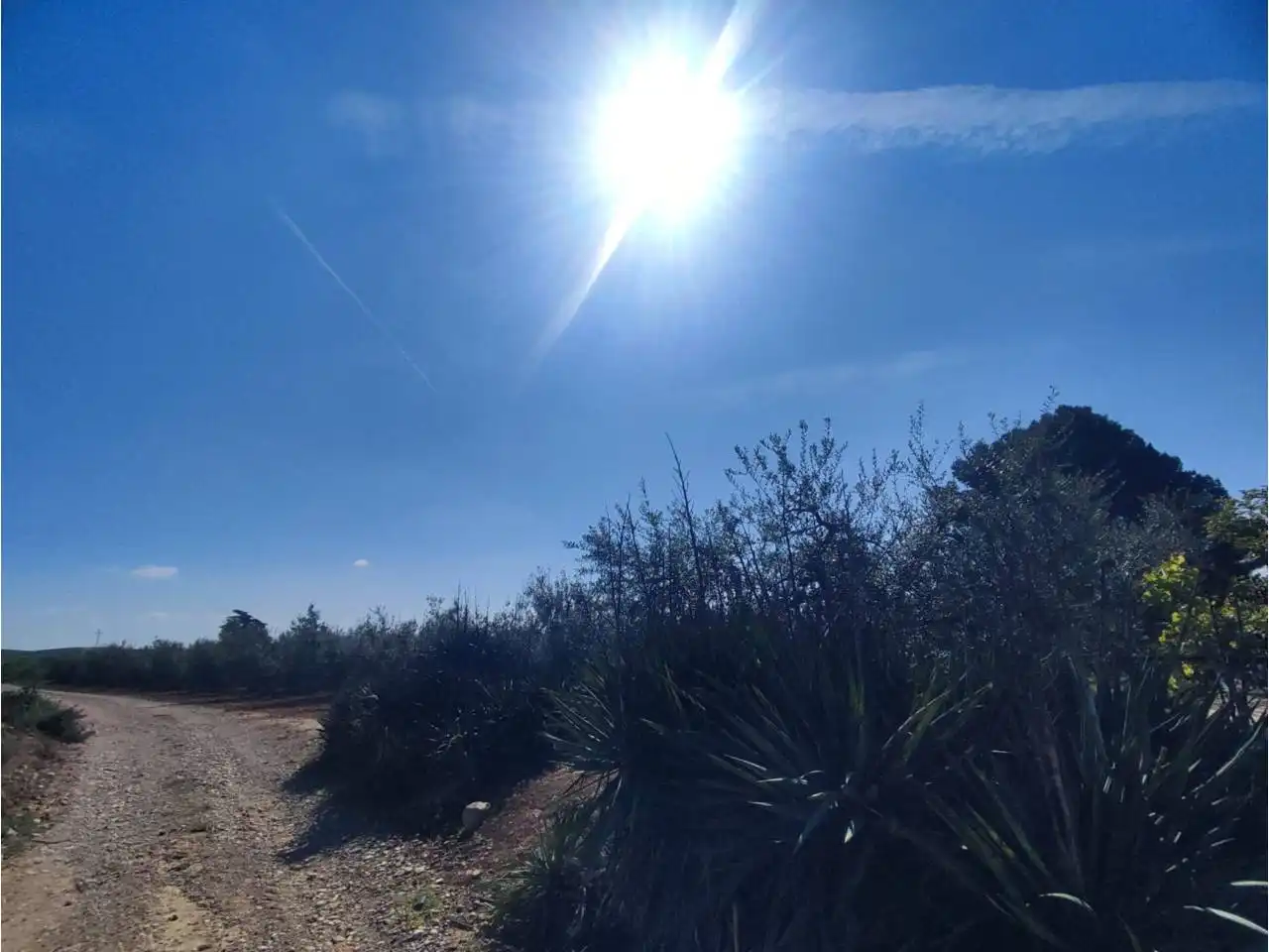 Terreno en venta en Zaidín