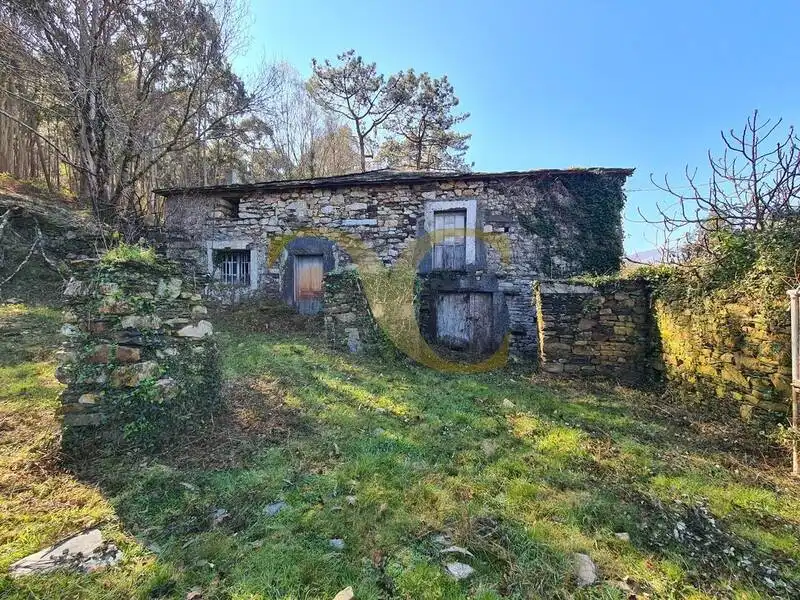 Vista exterior de Casa o xalet en venda en Villayón amb Jardí privat