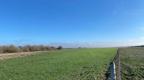 Foto 2 de Finca rústica en venda a Casco Histórico, Toledo