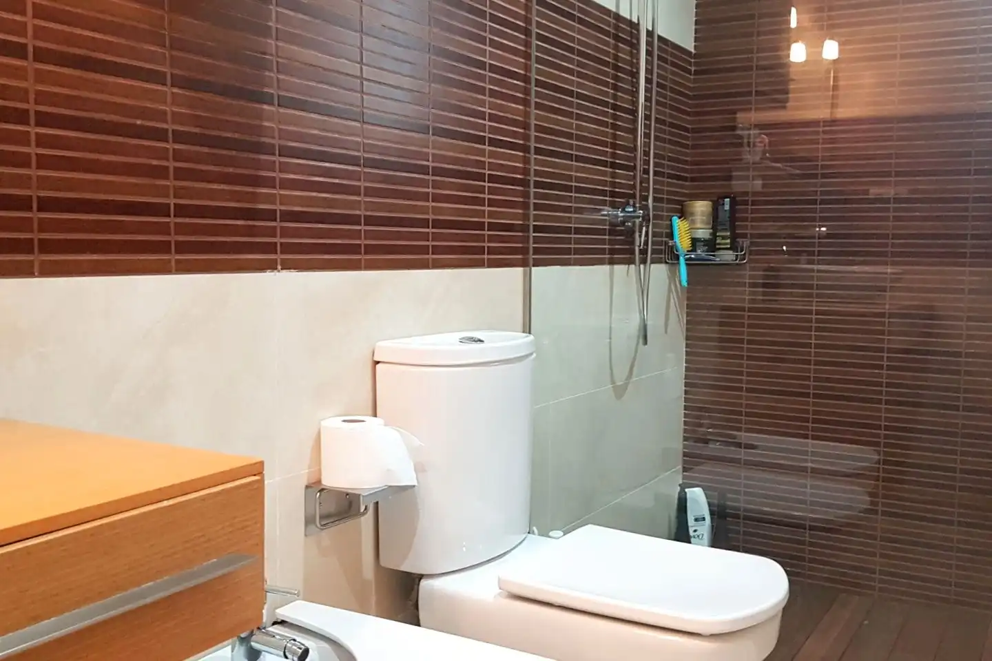 Bany de Casa o xalet en venda en L'Ametlla de Mar  amb Aire condicionat, Jardí privat i Terrassa