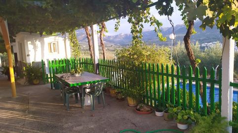CORTIJO CON GRAN PRODUCCIÓN ACEITUNERA EN 5,5 Ha.