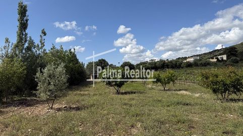 Photo 2 of Residential for sale in Son Servera Poble, Son Servera