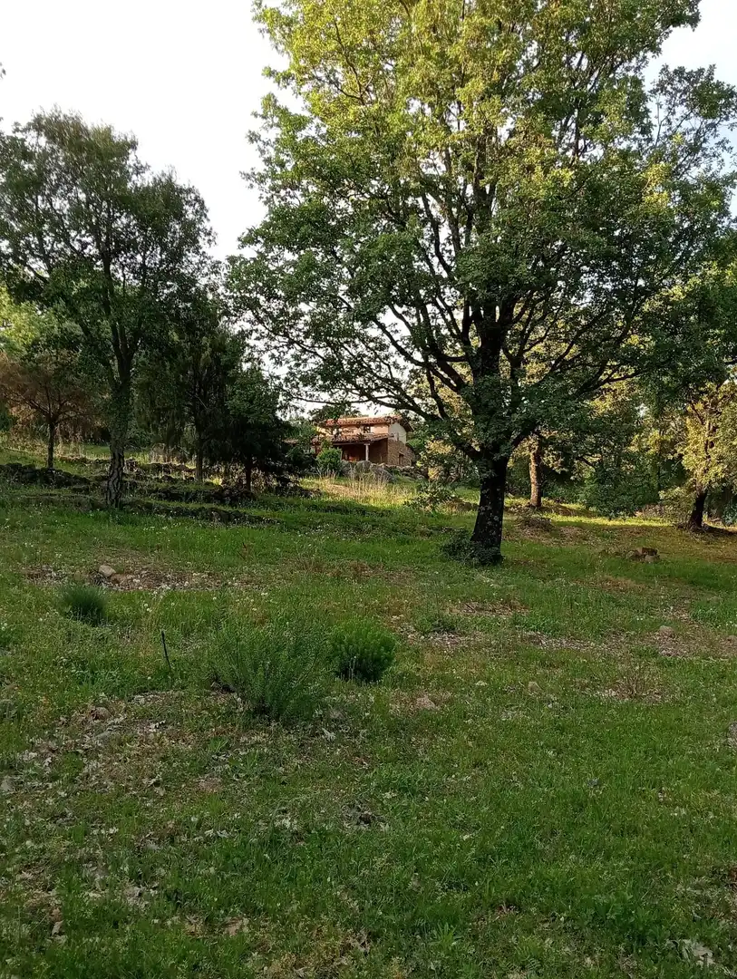 Terreno en venta en Villanueva de la Vera
