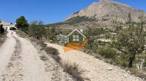 Terreno Rústico en venta en VélezBlanco., immagine 2