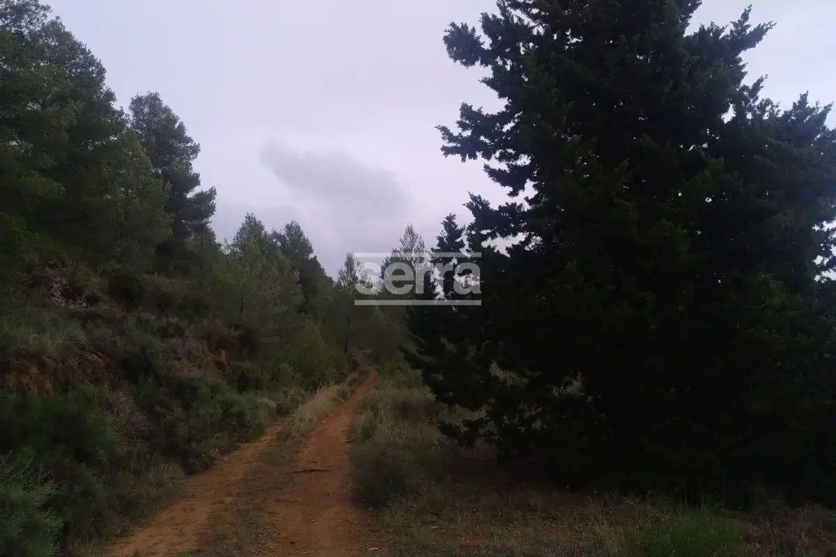 Land for sale in Torrelles de Foix