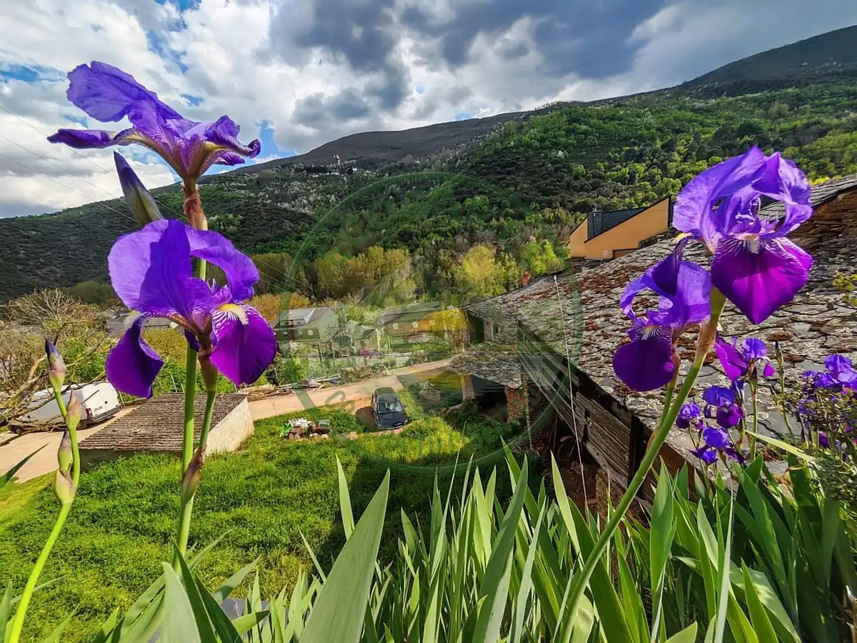 Garden of Detached homes for sale in Puente de Domingo Flórez