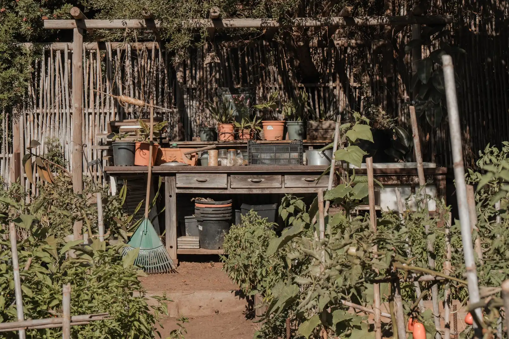 Terrenys i solars en venda a El Cuartón - El Bujeo, imagen 51