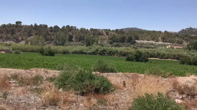 Grundstücke zum Verkauf in Lorca