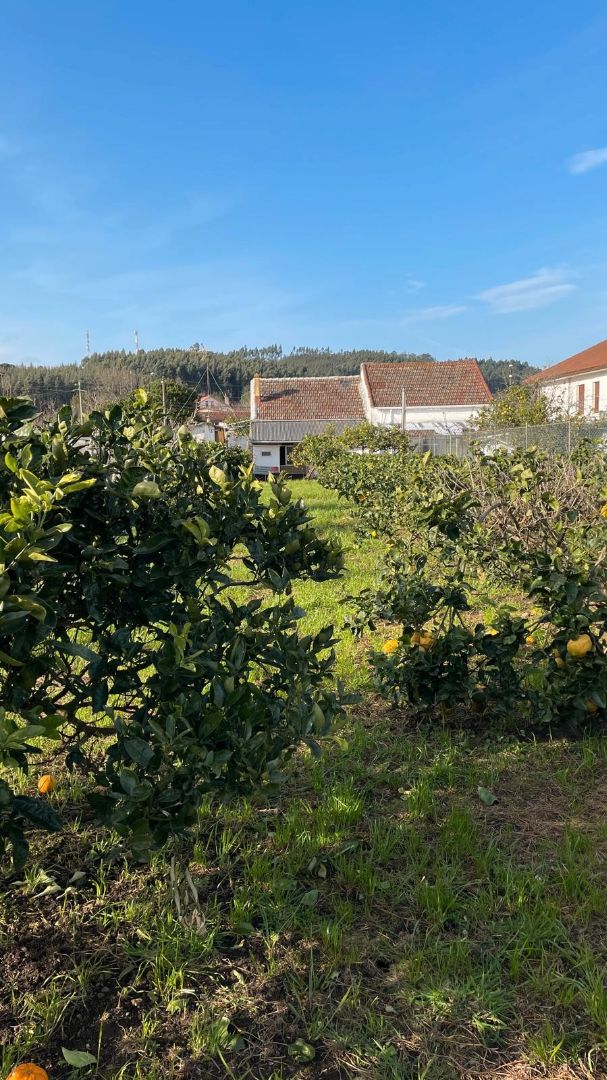 Houses for sale in Narón  with Heating, Private garden and Storage room