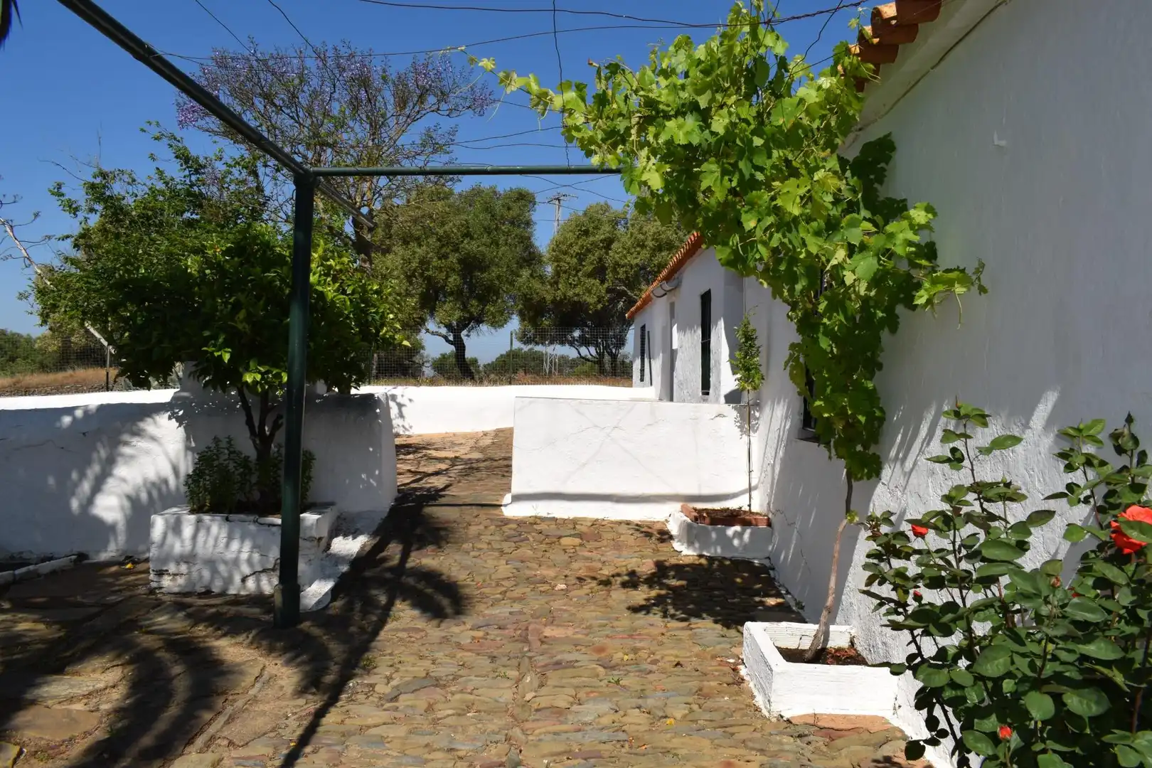 Casa rústica amb jardí en venda a Villanueva de los Castillejos, imagen 12