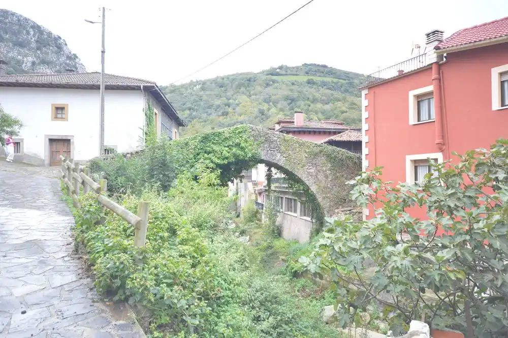 Houses for rent in Cabrales