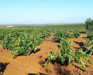 Finca rústica en venda en Santa Marta