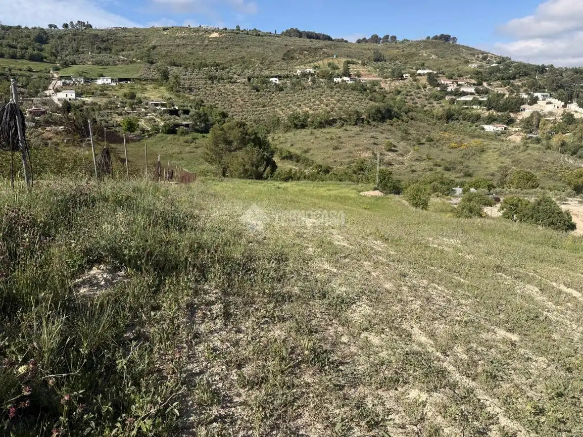 Terreni e lotti in vendita a Martos, imagen 8