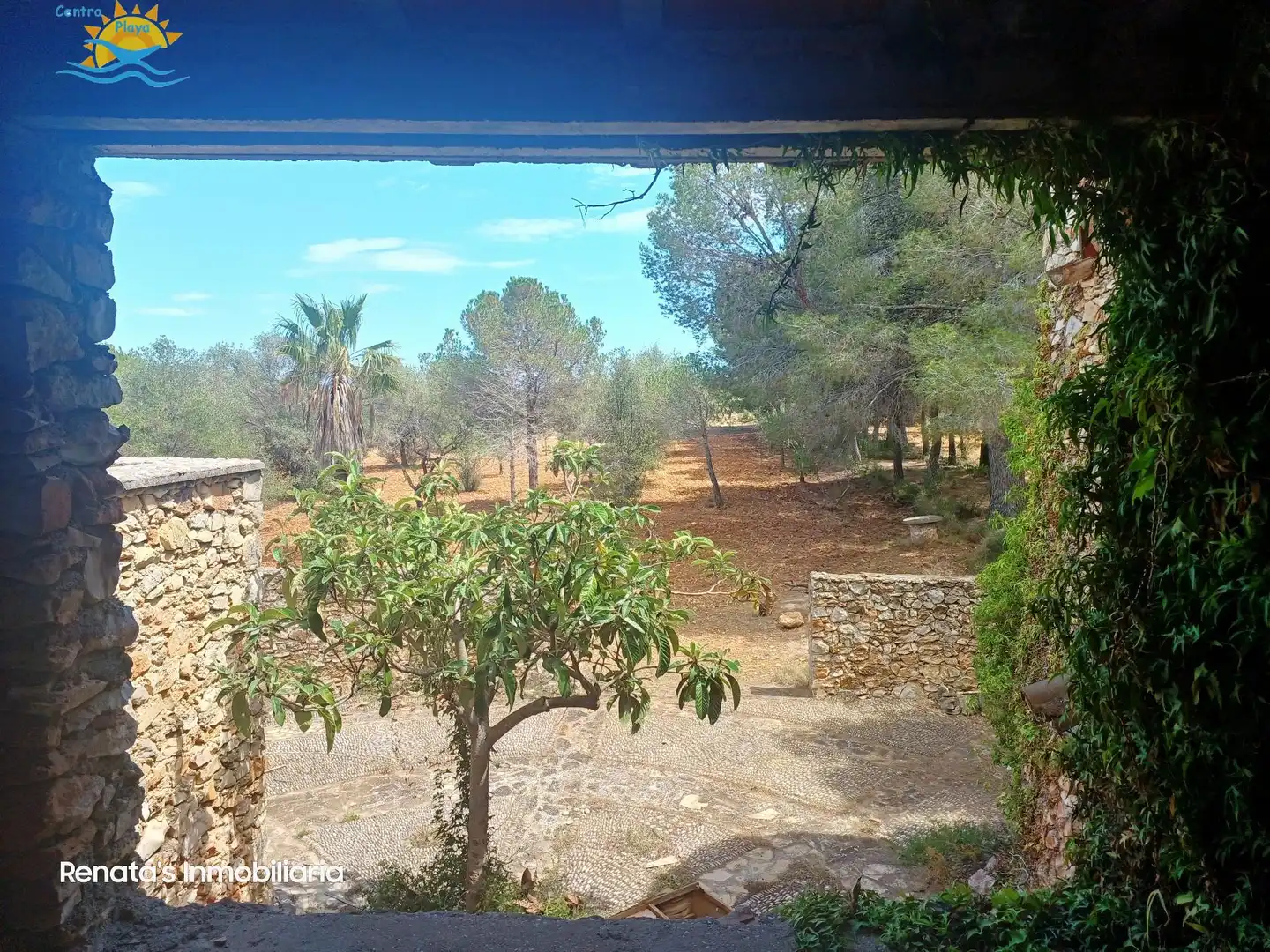 Finca rústica en venta en PEÑISCOLA, Las Atalayas - Urmi - Cerro de Mar