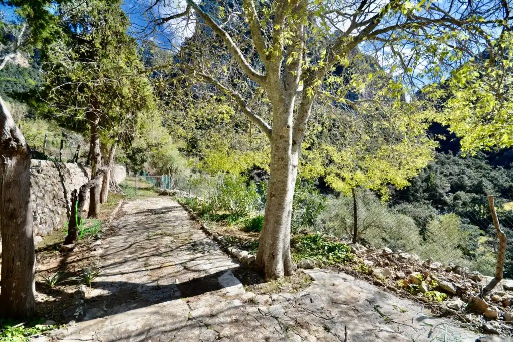 Maison rustique avec piscine à vendre à Escorca, imagen 13