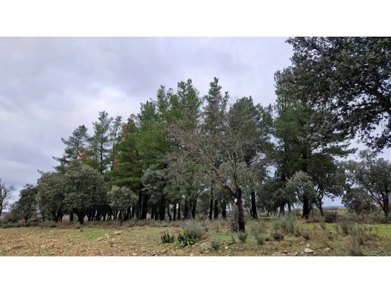 Terreno residenziale in vendita a Poligono 24 46, imagen 13