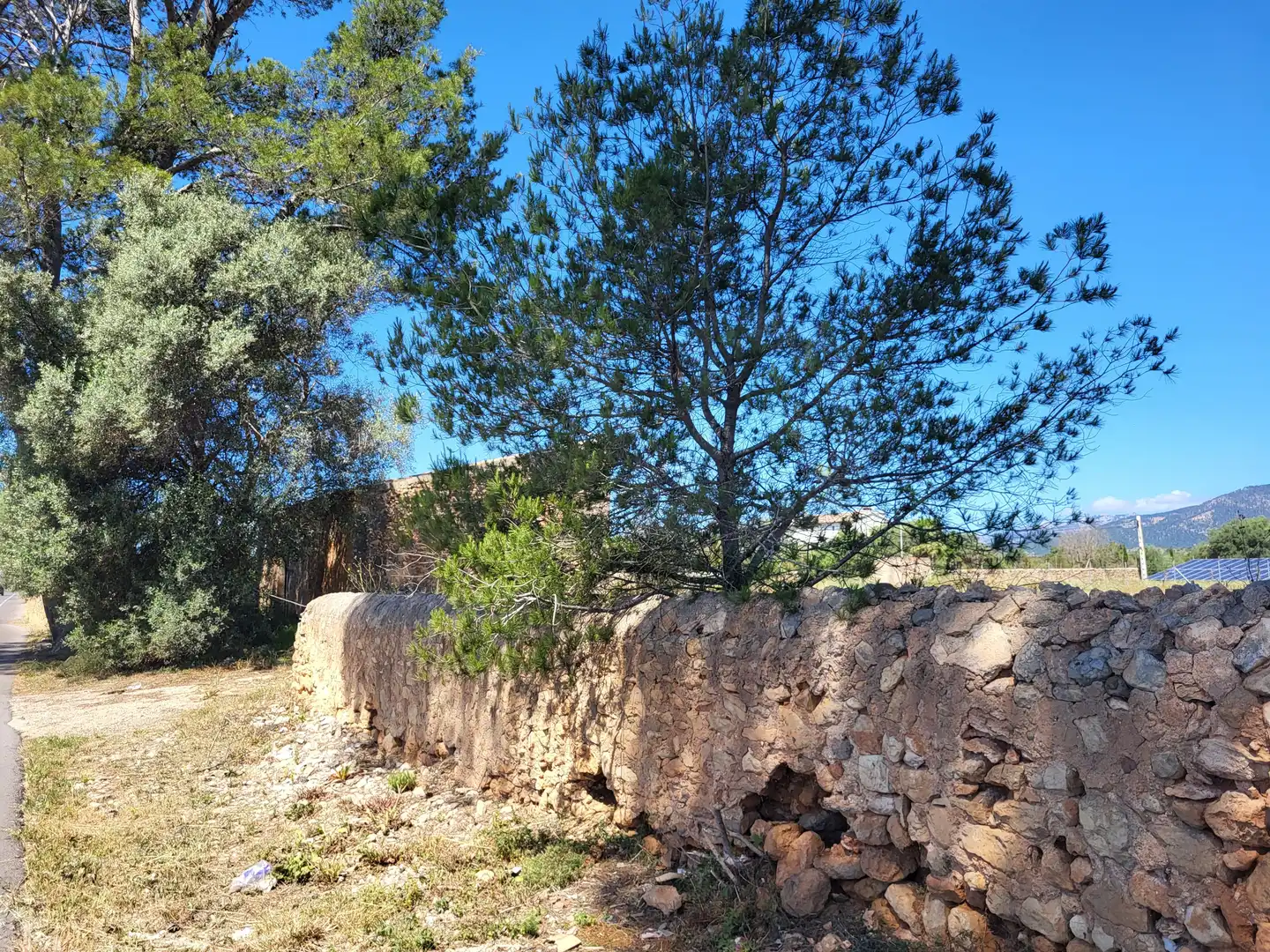 Terrain rustique à vendre à Polígono 2 Parcela 1, imagen 23