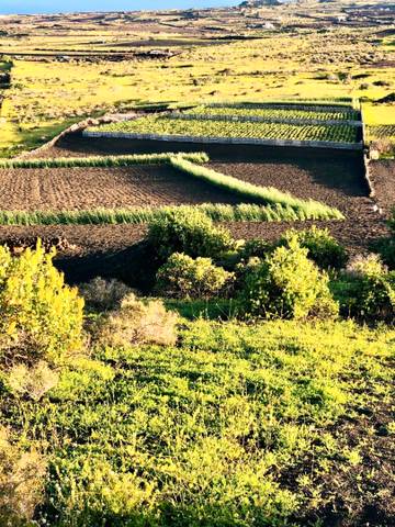 Terreno en Venta en Máguez
