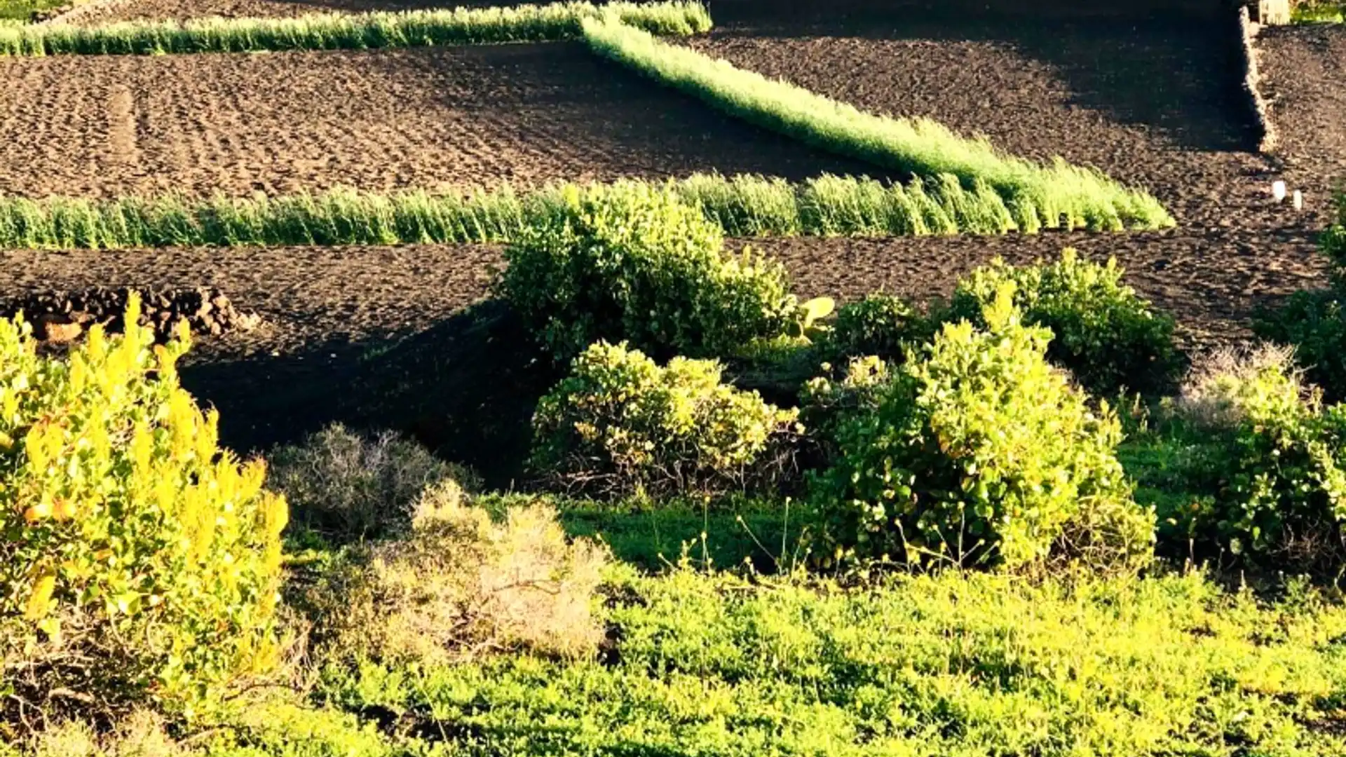 Vista exterior de Terreno en venta en Haría