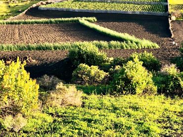 Terreno rustico in vendita a Máguez