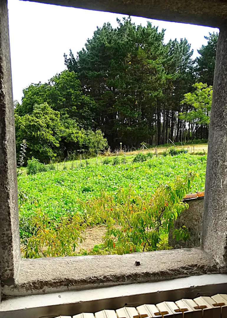 Finca rústica en venda en Narón amb Calefacció, Jardí privat i Parquet