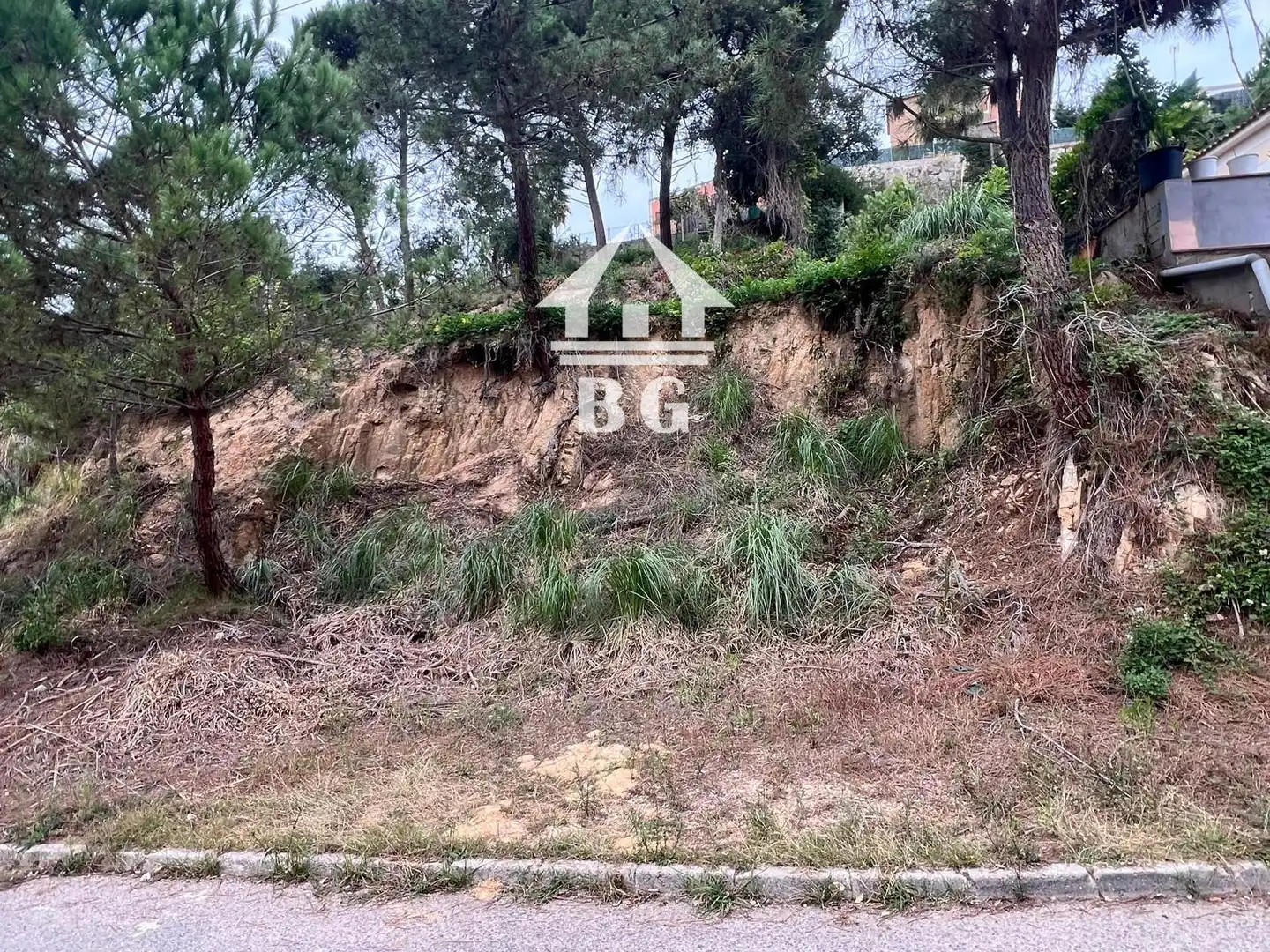 Terreno rústico en venta en Figuera, imagen 6