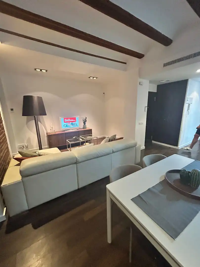 Sala d'estar de Pis de lloguer en Valencia amb Aire condicionat, Parquet i Balcó