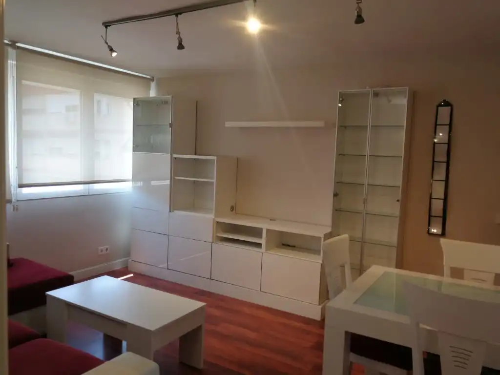 Sala de estar de Apartamento de alquiler en Madrid