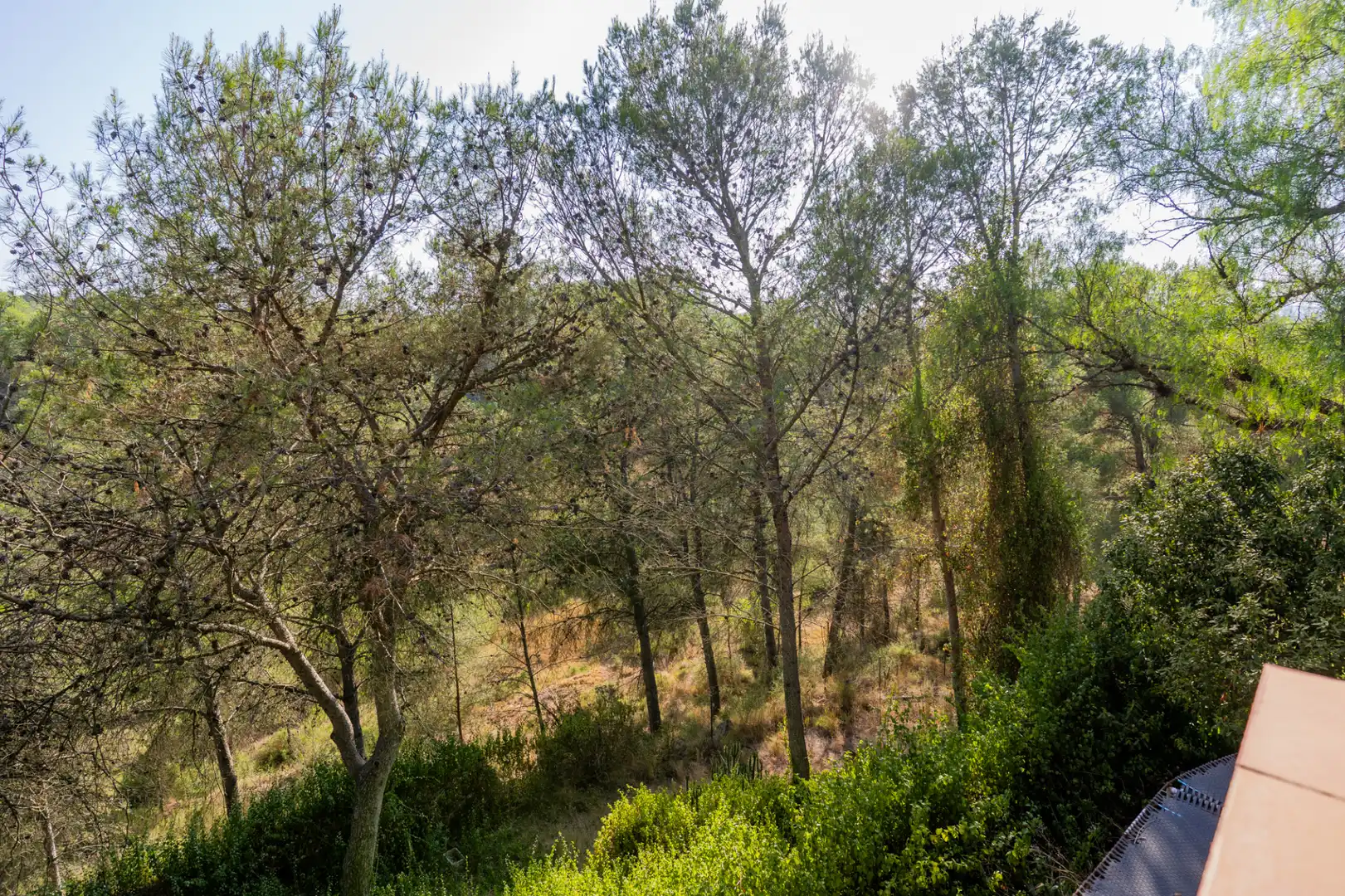 Casa o xalet en venda en Segorbe amb Jardí privat, Terrassa i Piscina