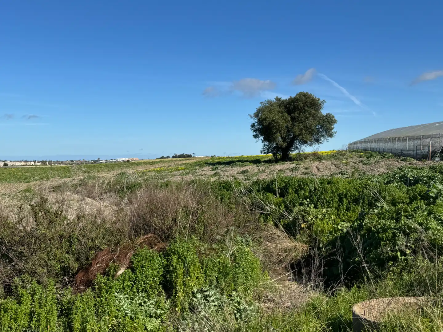 Rustikales Grundstück zum Verkauf in Chipiona Norte, imagen 4