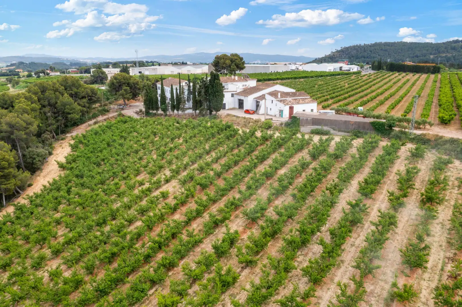 Casa rústica amb piscina en venda a Carrer de la Serra de Dalt 15, imagen 17