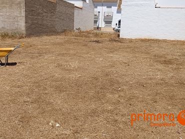 Lands and plots for sale in Alcolea del Río