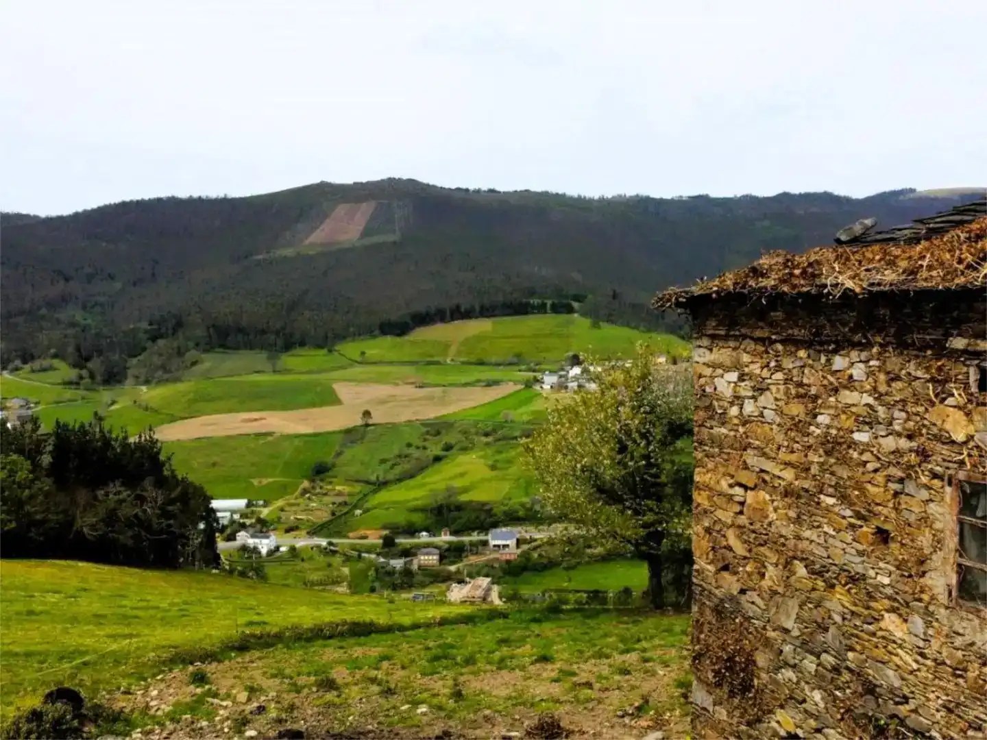 Vista exterior de Pis en venda en Castropol