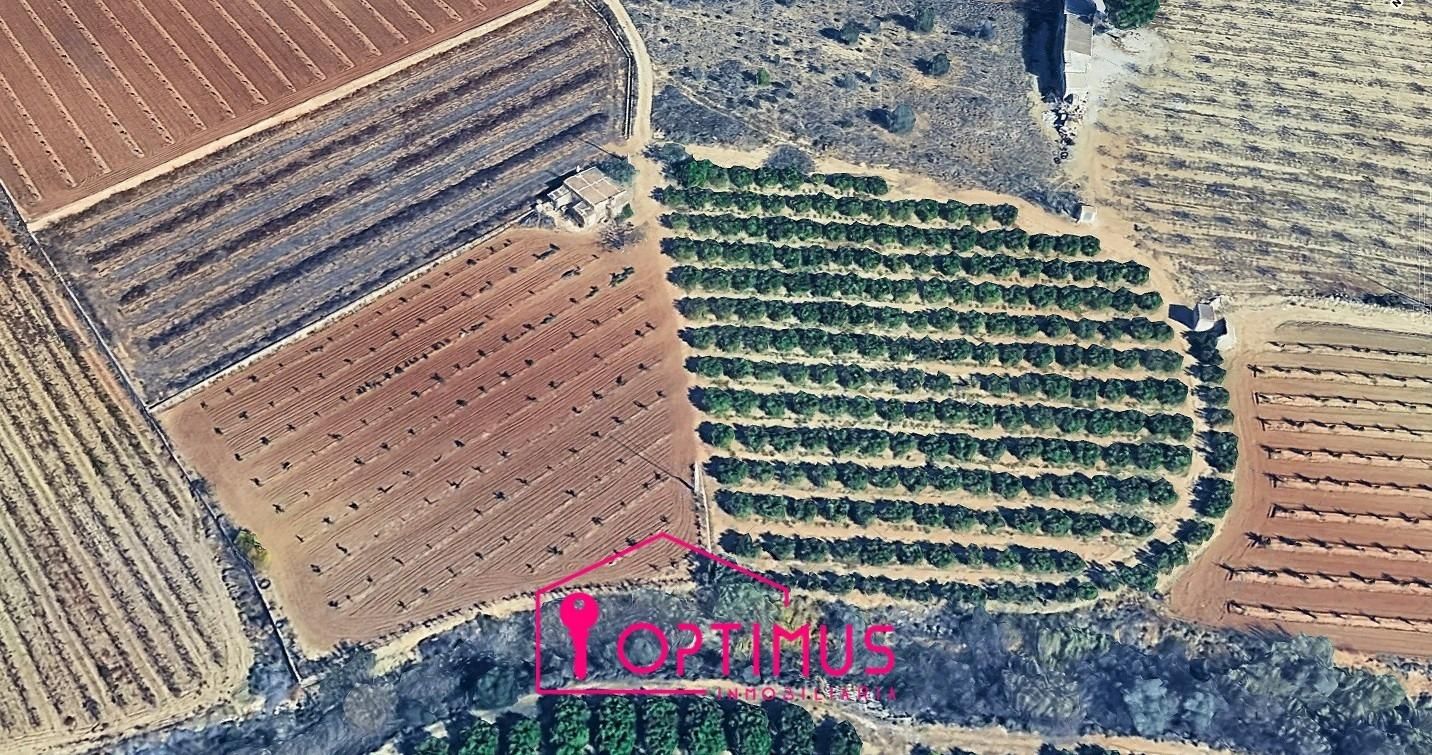 Casa o xalet en venda en Turís amb Jardí privat i Traster