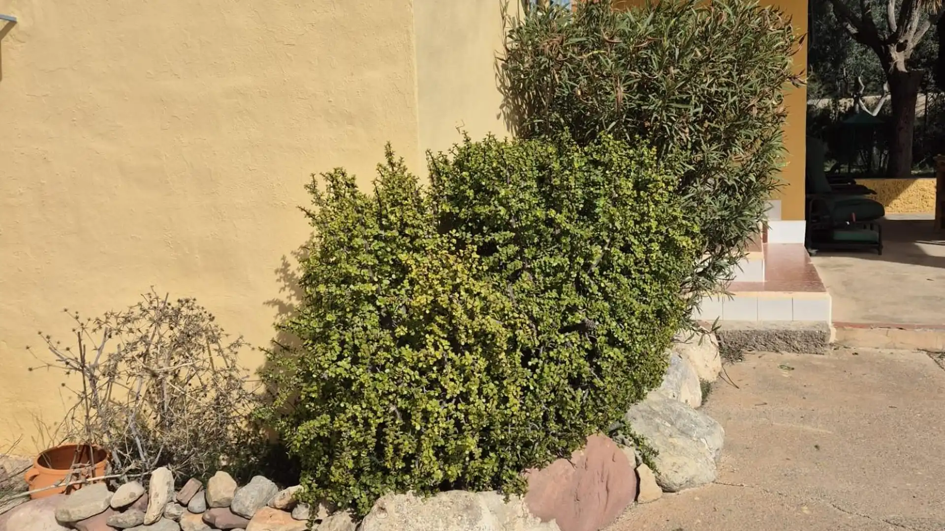 Jardín de Casa o chalet en venta en Llíria