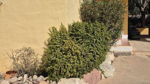 Foto 2 de Casa o chalet en venta en Casco Antiguo, Llíria